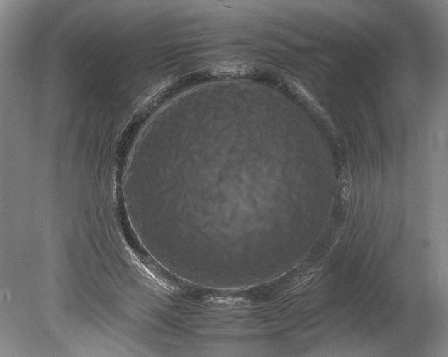 X0000080750637200701051211