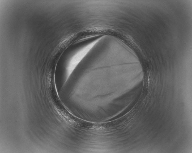 X0000080750640200701051211
