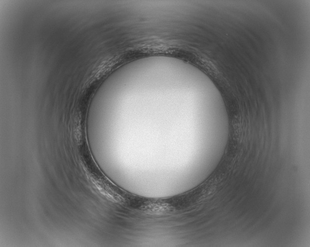 X0000080750642200701051211