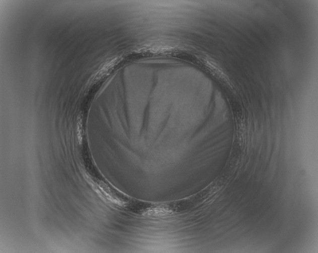 X0000080750644200701051211