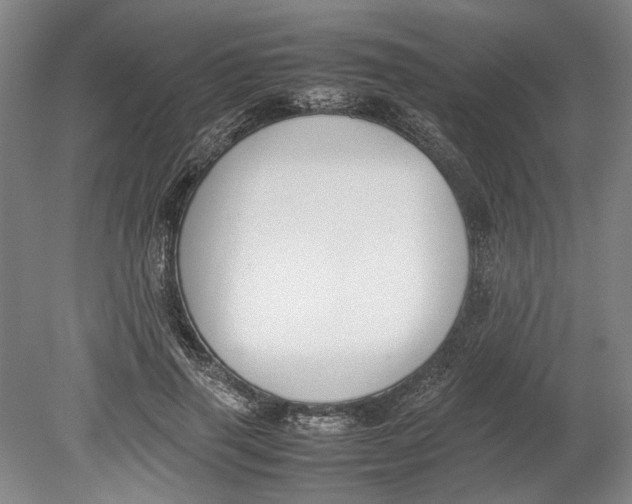 X0000080750645200701051211