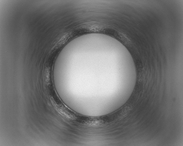 X0000080750646200701051211