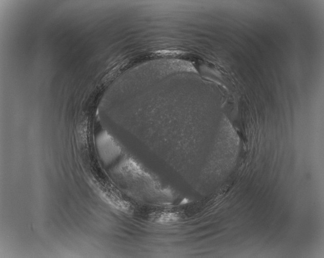 X0000080750647200701051211