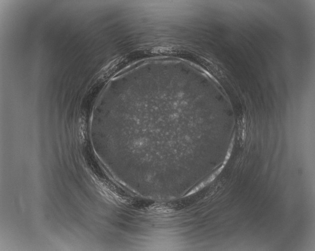X0000080750648200701051211