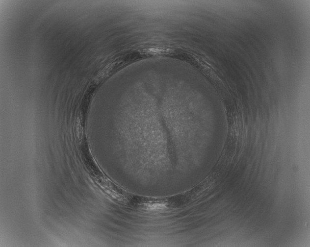 X0000080750651200701051211