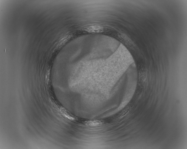 X0000080750652200701051211