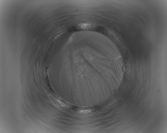 X0000080750653200701051211