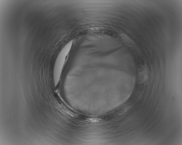 X0000080750654200701051211