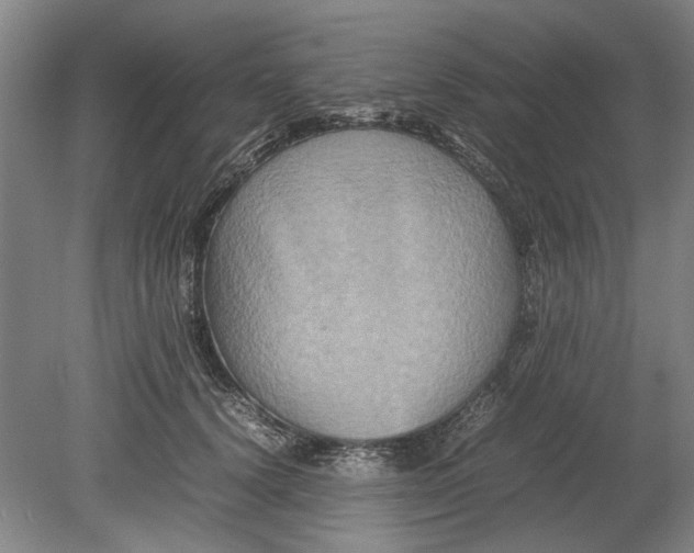 X0000080750656200701051211