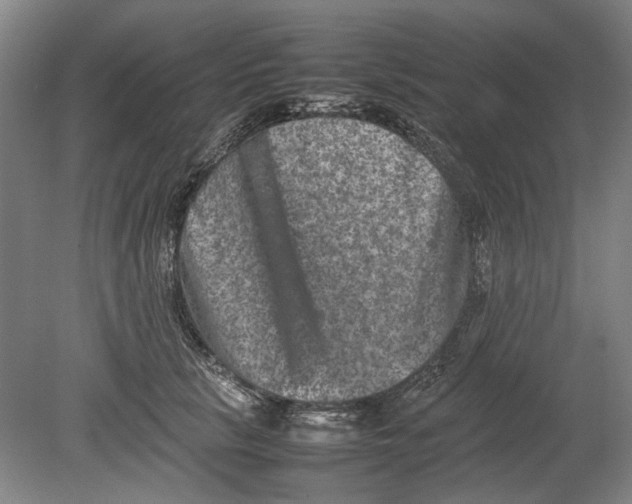 X0000080750657200701051211