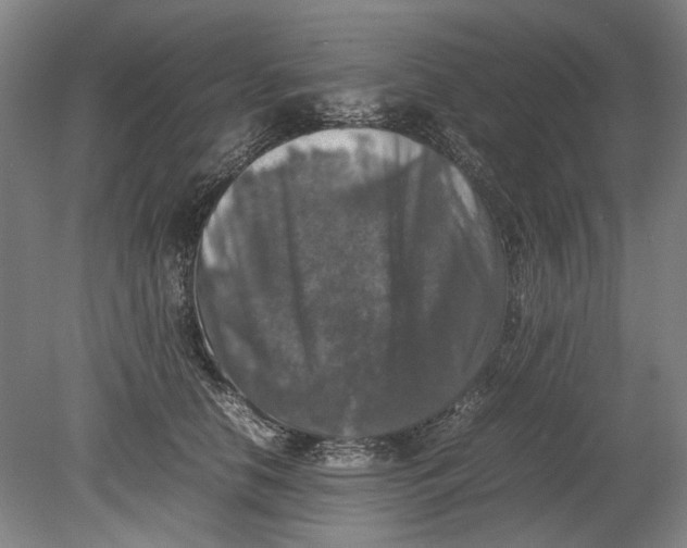 X0000080750658200701051212