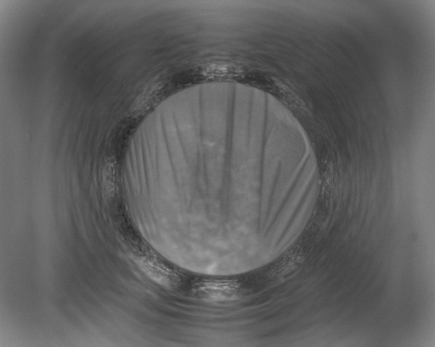 X0000080750659200701051212