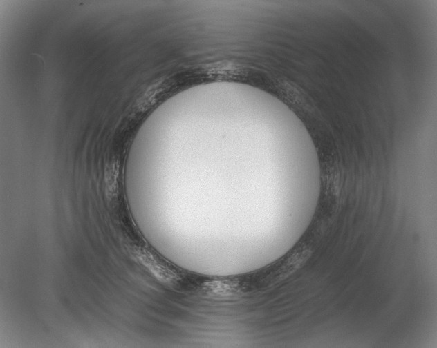X0000080750660200701051212