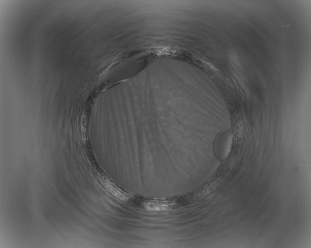 X0000080750661200701051212