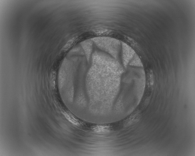 X0000080750664200701051212
