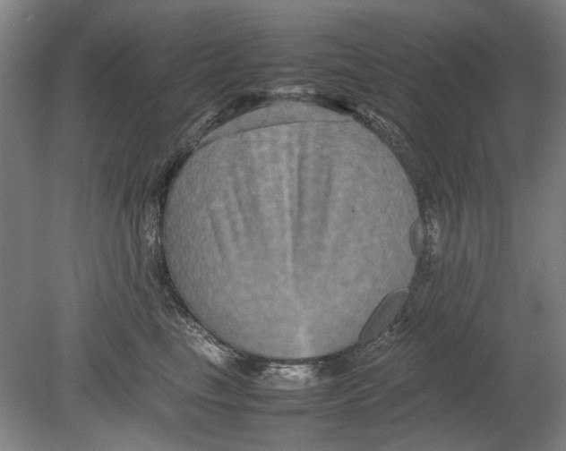 X0000080750665200701051212