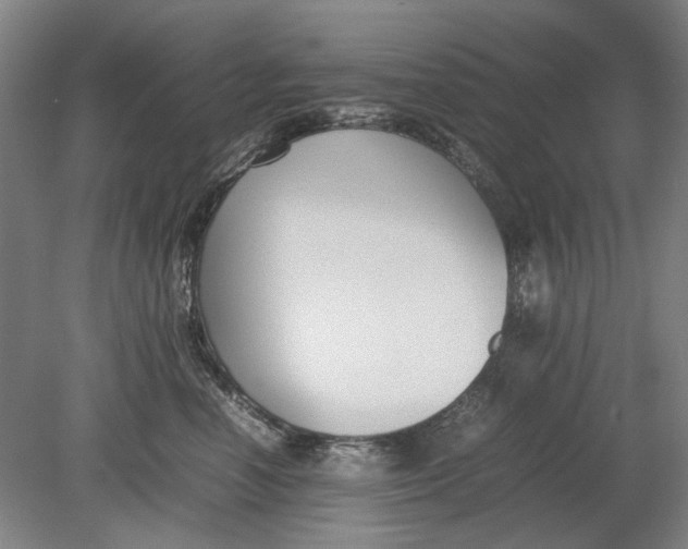 X0000080750666200701051212
