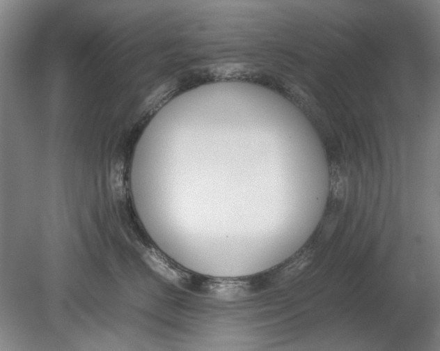 X0000080750670200701051212