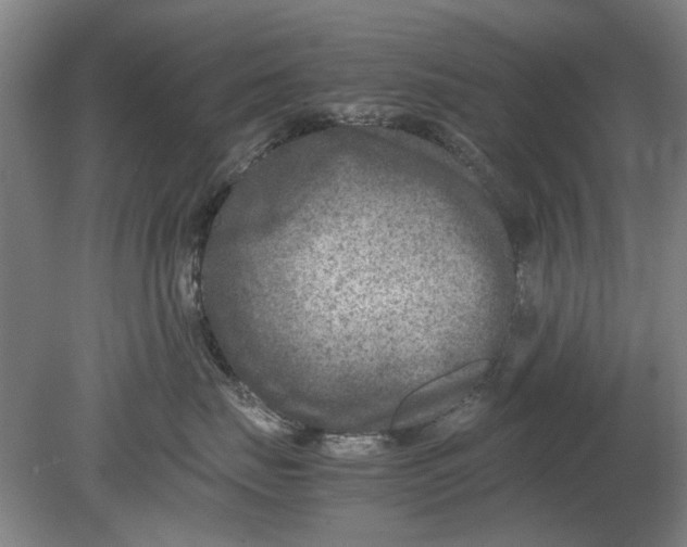 X0000080750671200701051212