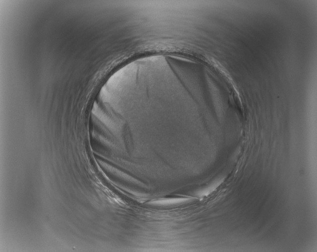X0000080750673200701051211