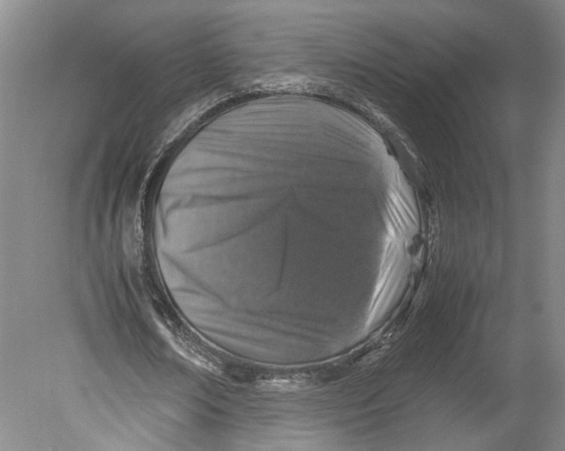 X0000080750674200701051211