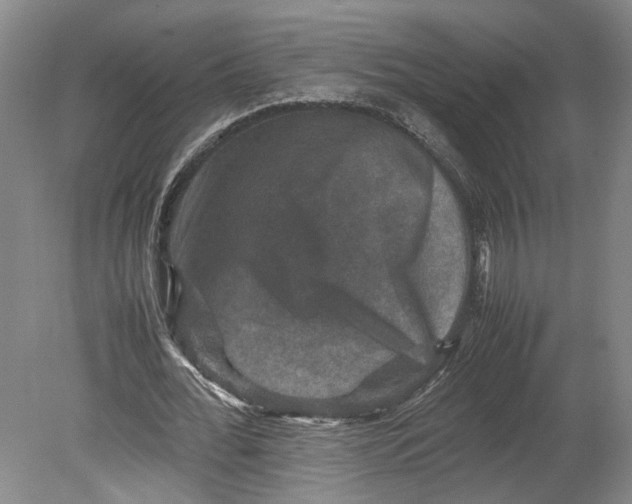 X0000080750676200701051211