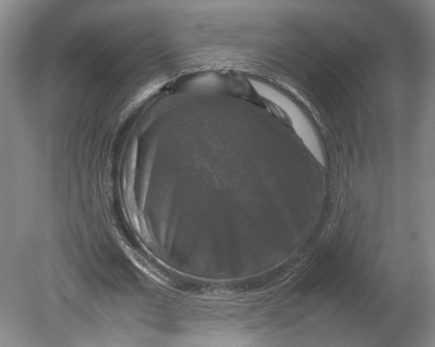 X0000080750677200701051211