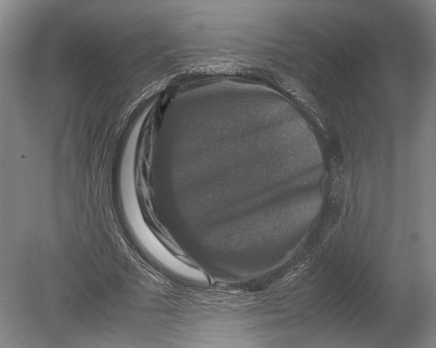 X0000080750681200701051211