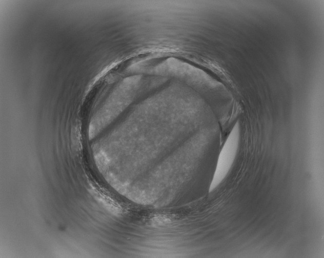 X0000080750684200701051211