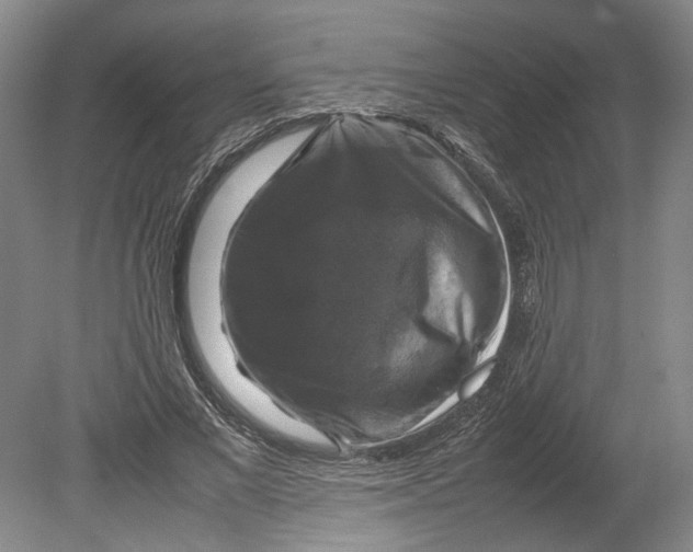 X0000080750685200701051211
