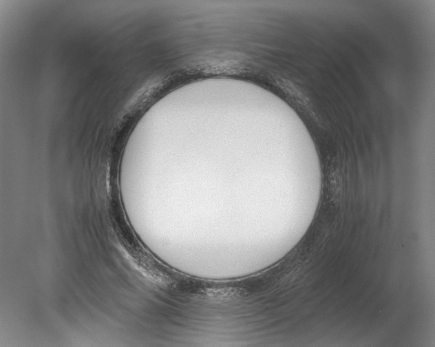 X0000080750686200701051211