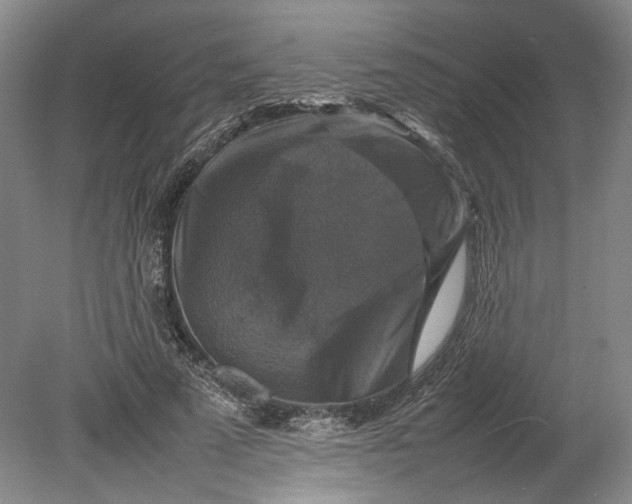 X0000080750689200701051211