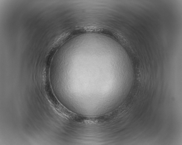 X0000080750690200701051211
