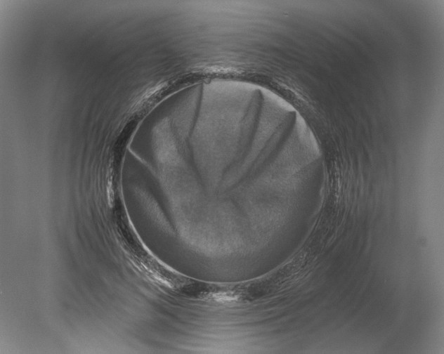 X0000080750692200701051211