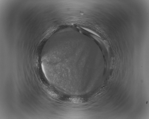 X0000080750693200701051211