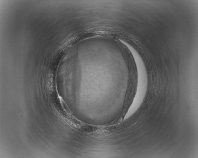 X0000080750696200701051211