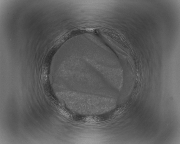X0000080750697200701051211