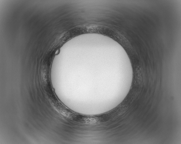 X0000080750698200701051211
