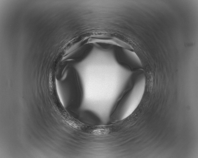 X0000080750700200701051210