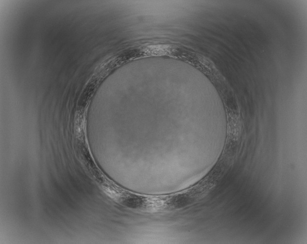 X0000080750701200701051210