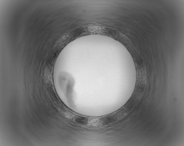 X0000080750705200701051210