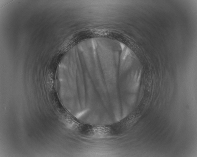 X0000080750707200701051210