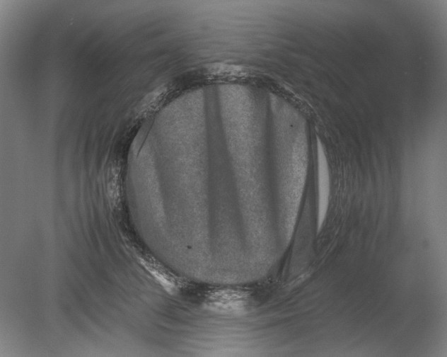 X0000080750708200701051210