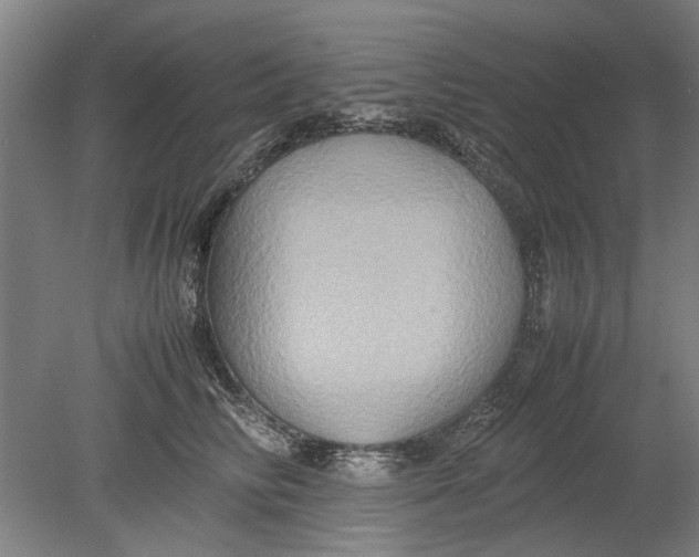 X0000080750710200701051210