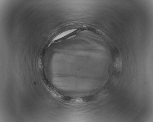 X0000080750715200701051210