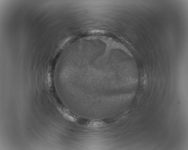 X0000080750716200701051210