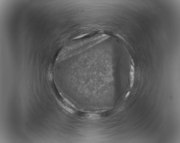 X0000080750719200701051210