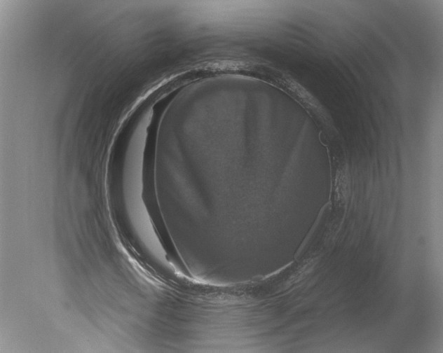 X0000080750722200701051209