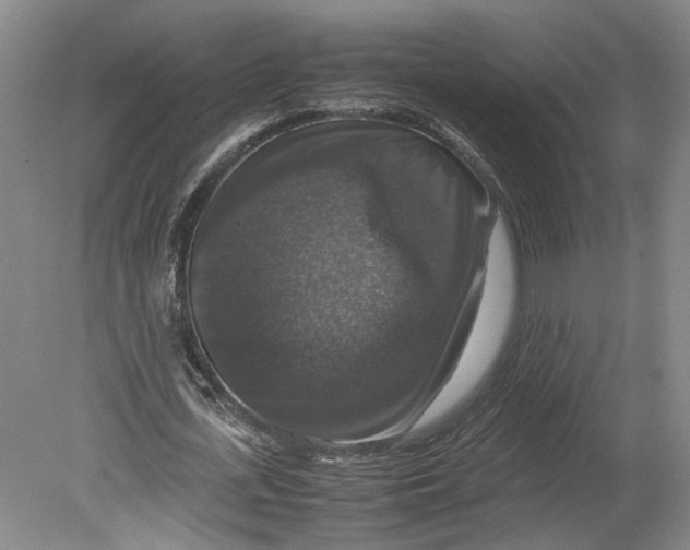 X0000080750723200701051209