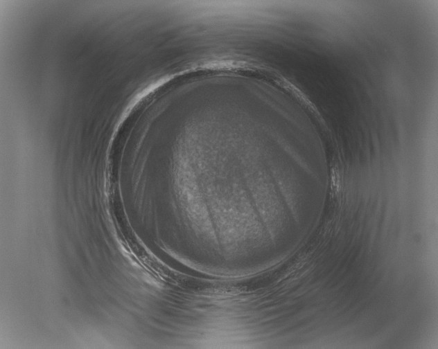 X0000080750724200701051209